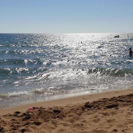 Aristea