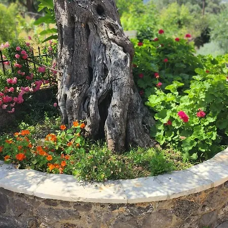 Aristea Apartment