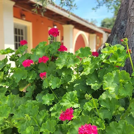 Appartamento Aristea Kato Korakiana